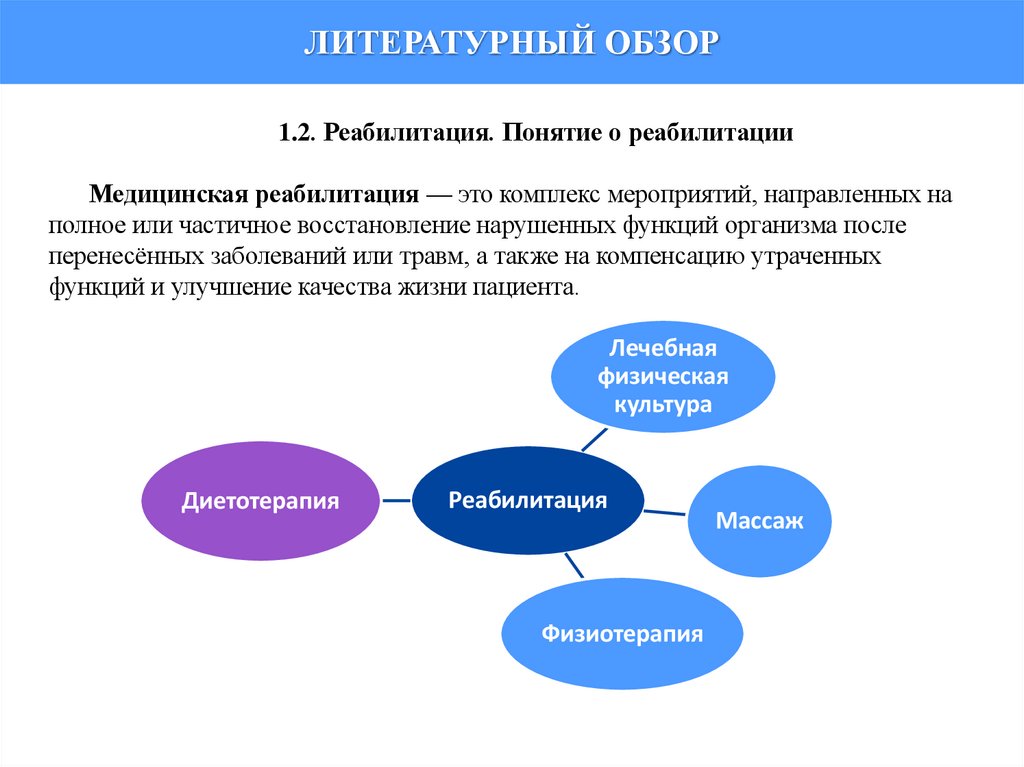 ЛИТЕРАТУРНЫЙ ОБЗОР