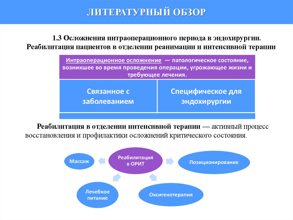 ЛИТЕРАТУРНЫЙ ОБЗОР