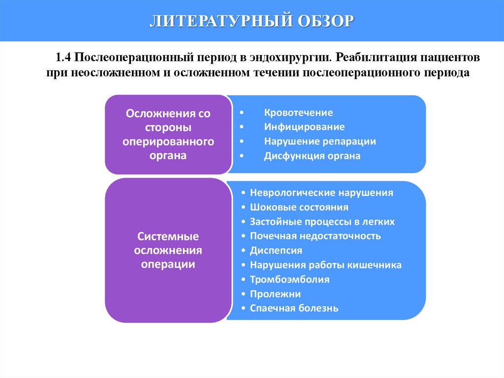 ЛИТЕРАТУРНЫЙ ОБЗОР