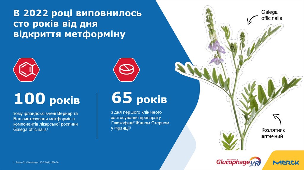 В 2022 році виповнилось сто років від дня відкриття метформіну