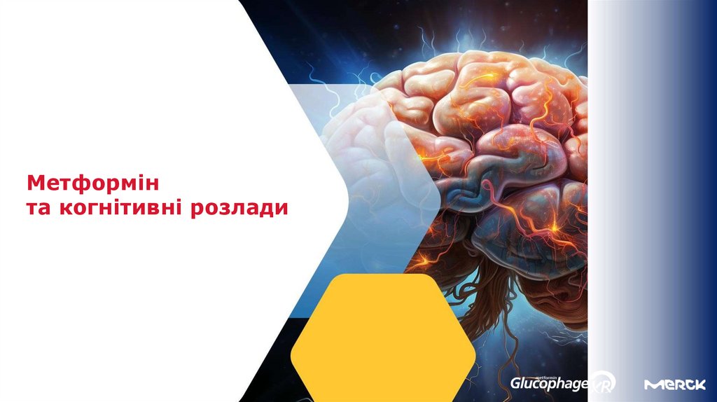 Метформін та когнітивні розлади