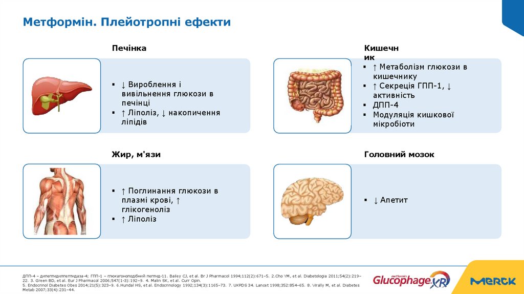 Метформін. Плейотропні ефекти