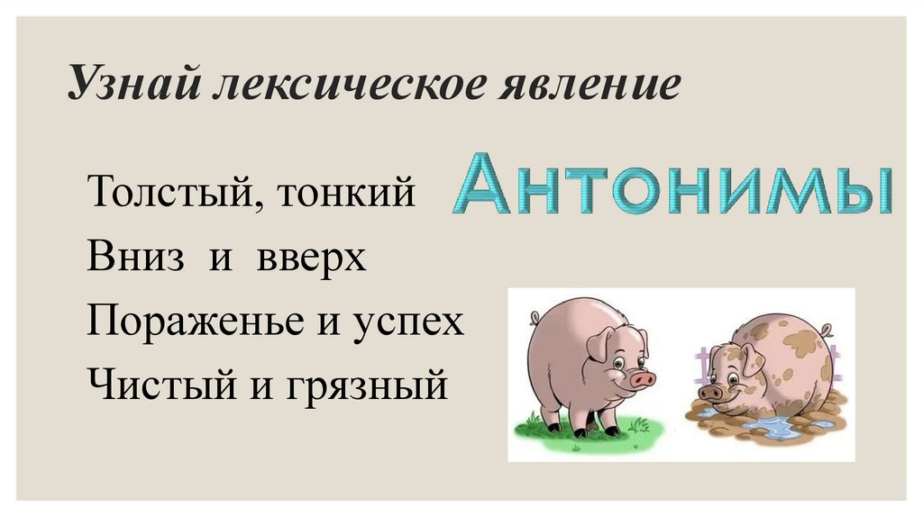 Узнай лексическое явление