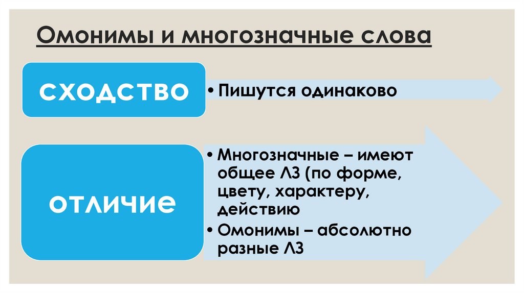 Омонимы и многозначные слова