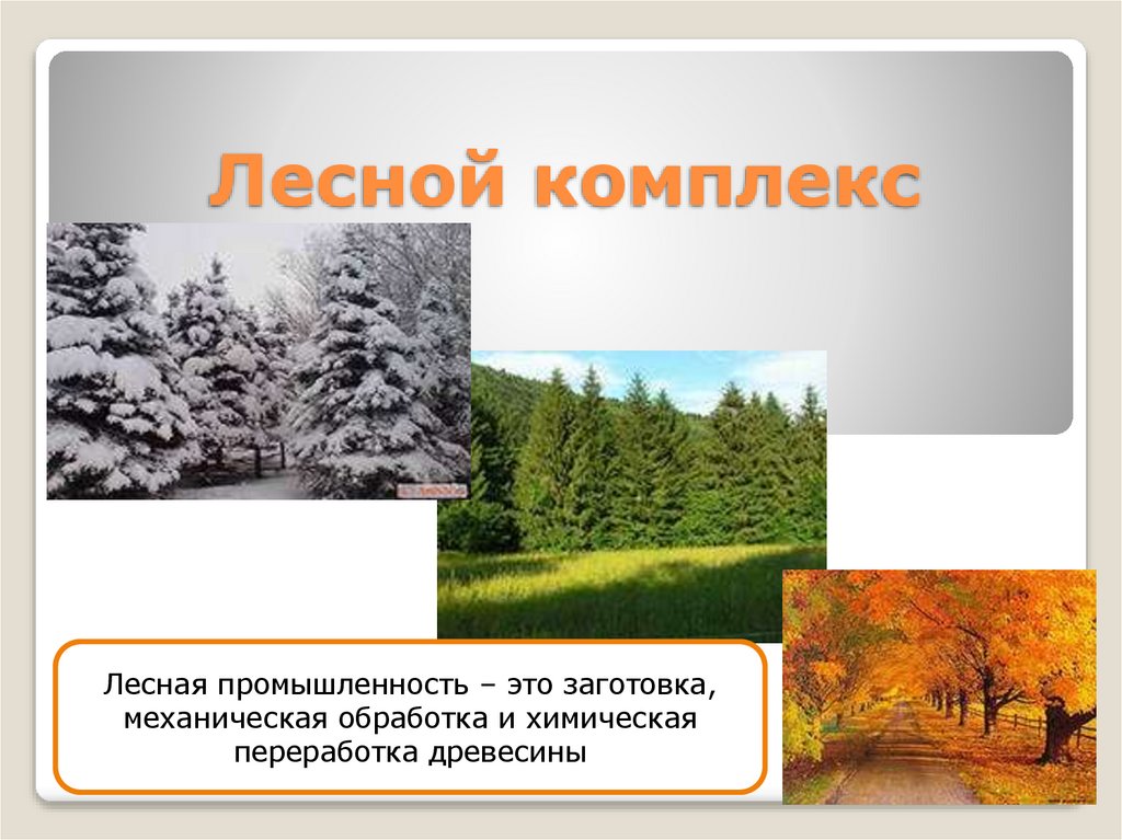 Лесной комплекс