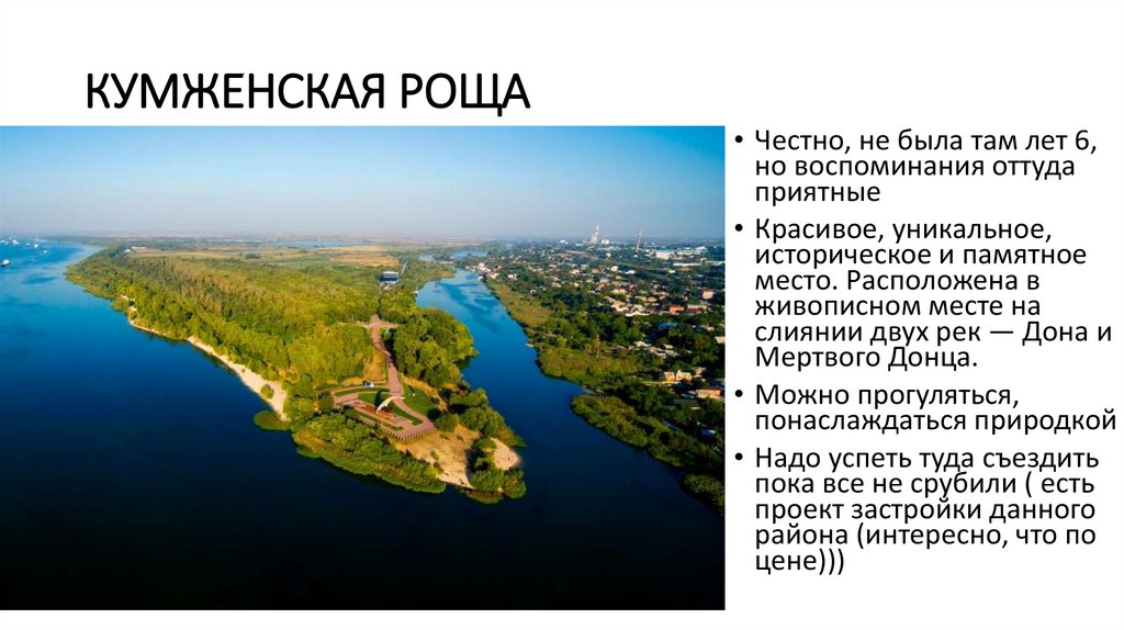 кумженская роща
