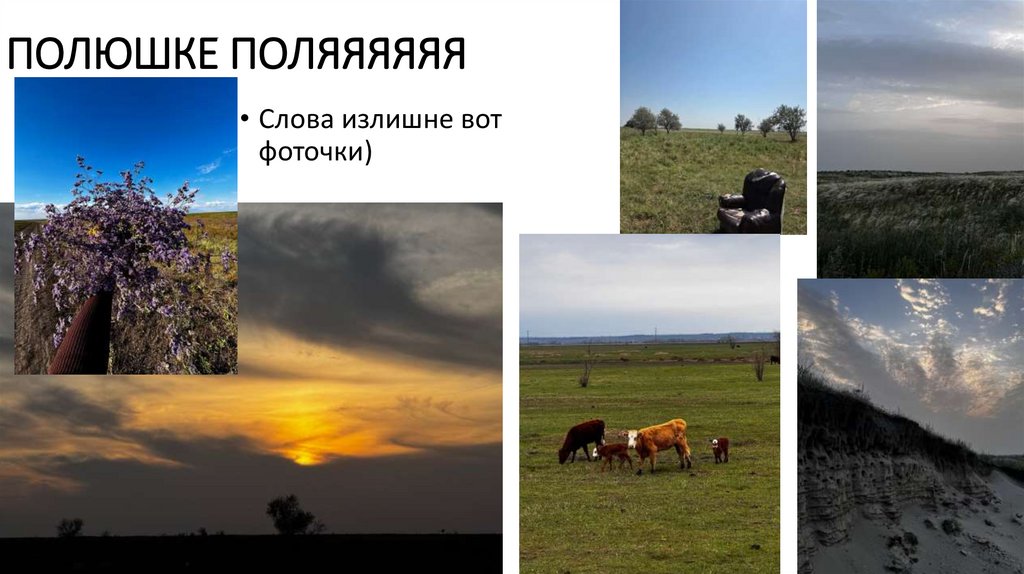 полюшке поляяяяяя