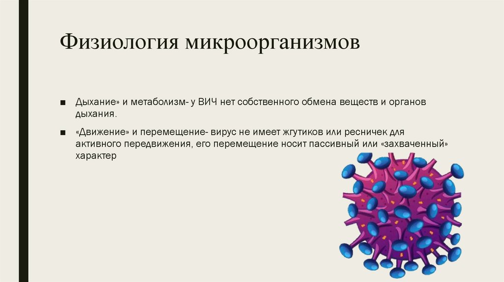 Физиология микроорганизмов
