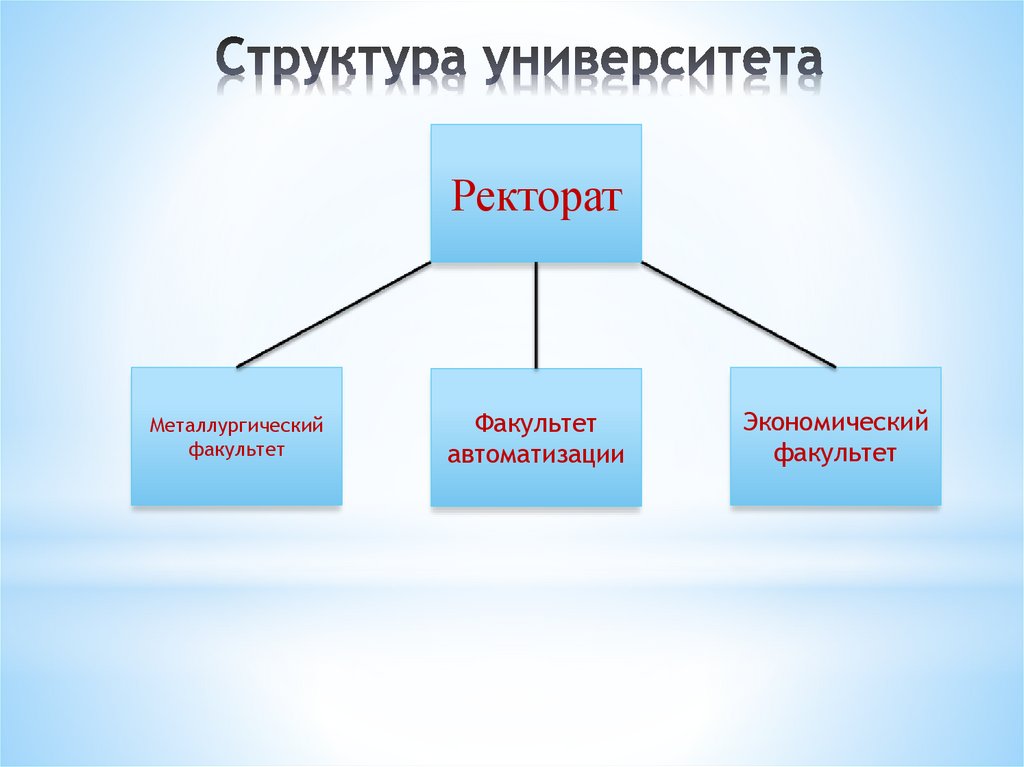 Структура университета