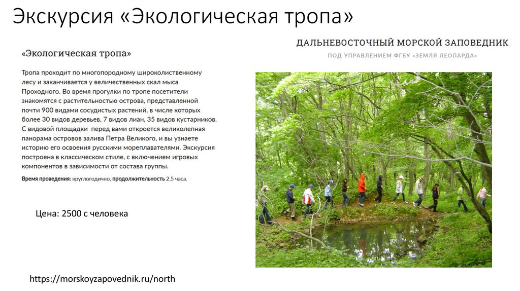 Экскурсия «Экологическая тропа»