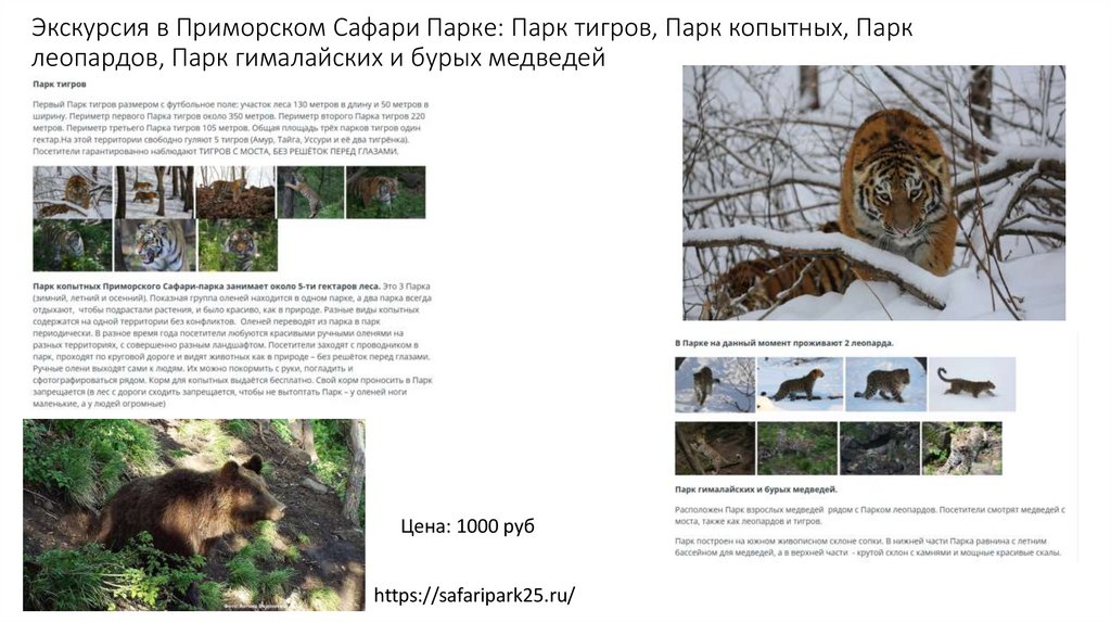 Экскурсия в Приморском Сафари Парке: Парк тигров, Парк копытных, Парк леопардов, Парк гималайских и бурых медведей