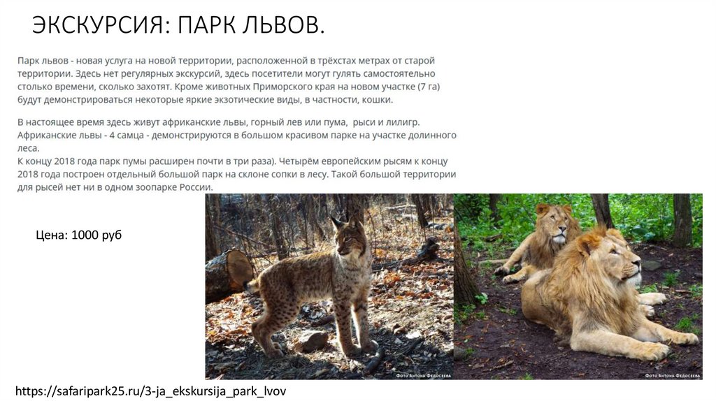 ЭКСКУРСИЯ: ПАРК ЛЬВОВ.