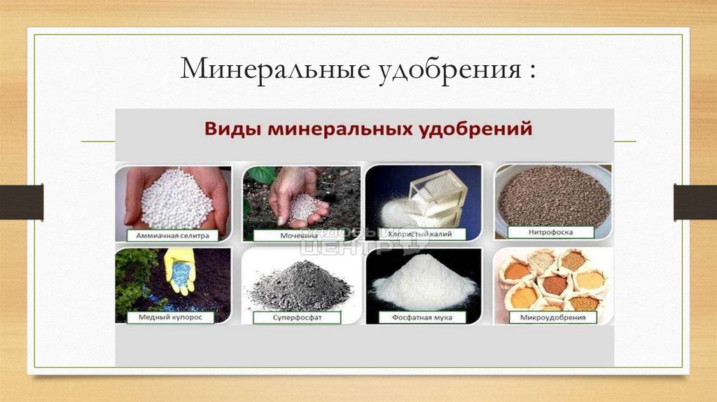 Минеральные удобрения :