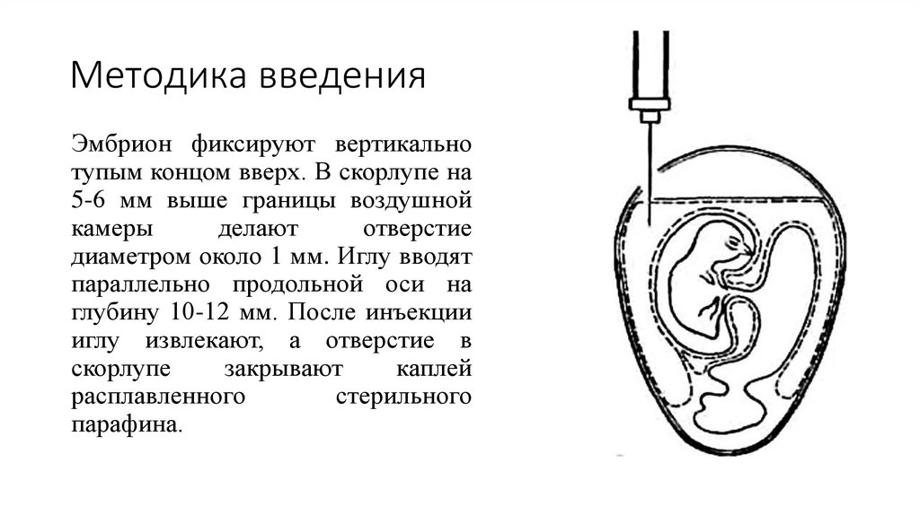 Методика введения