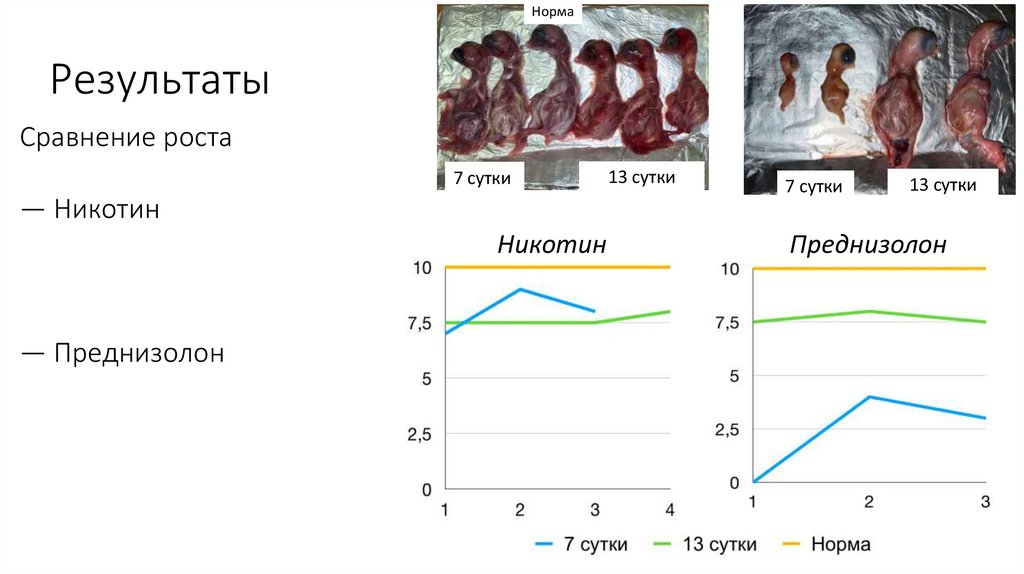 Результаты