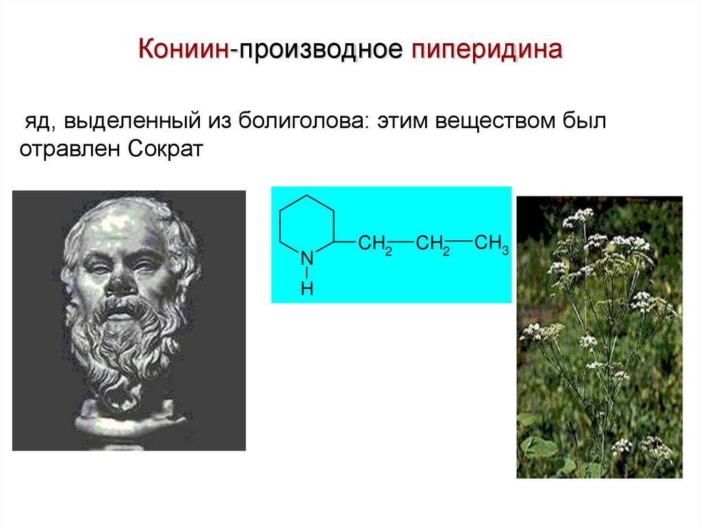 Кониин-производное пиперидина