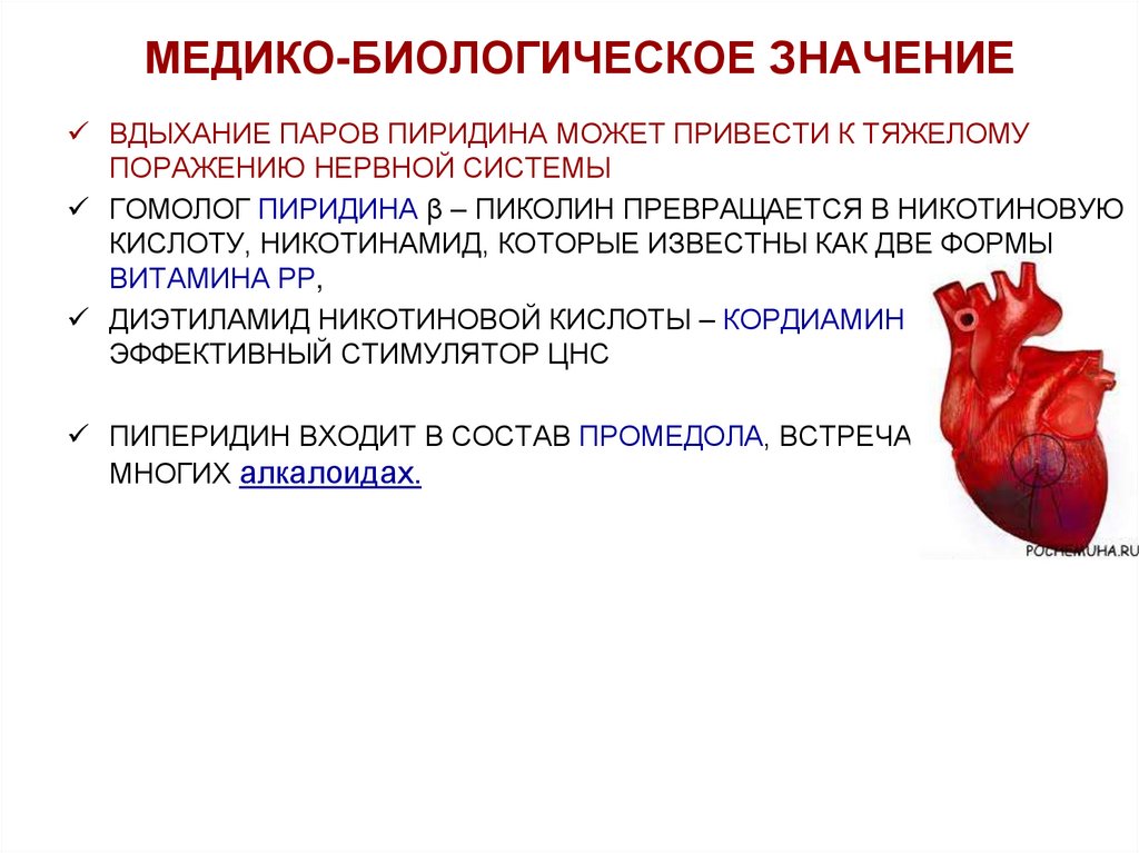 МЕДИКО-БИОЛОГИЧЕСКОЕ ЗНАЧЕНИЕ