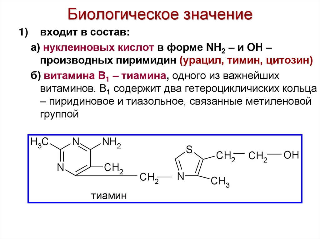Биологическое значение