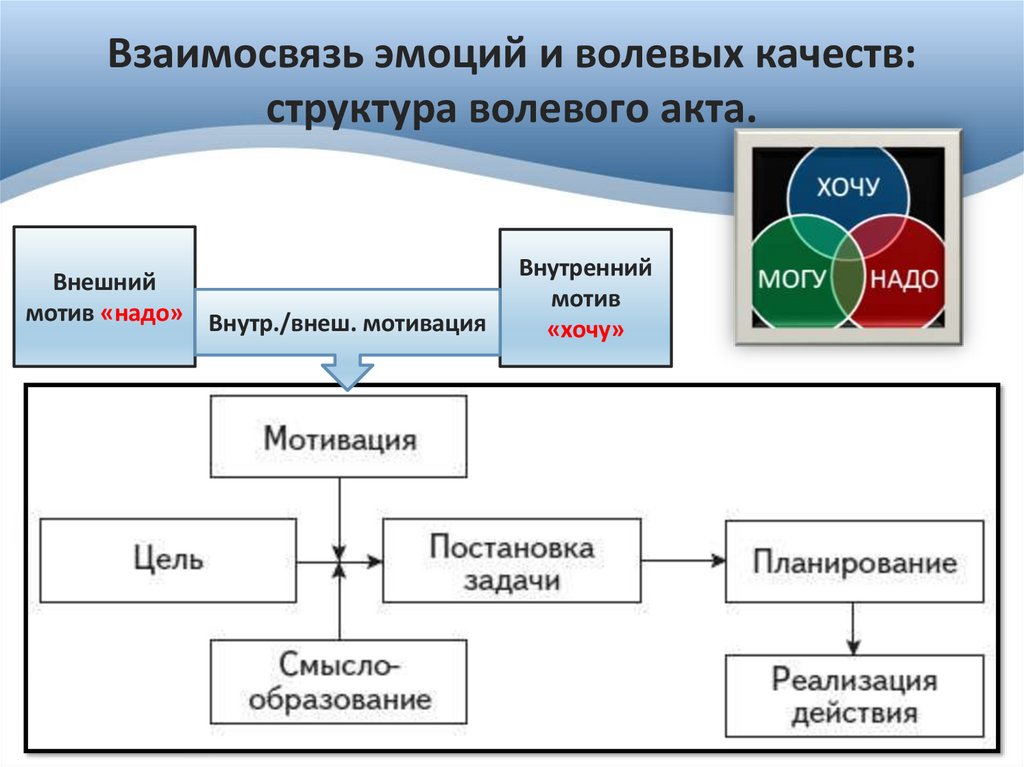Взаимосвязь эмоций и волевых качеств: структура волевого акта.