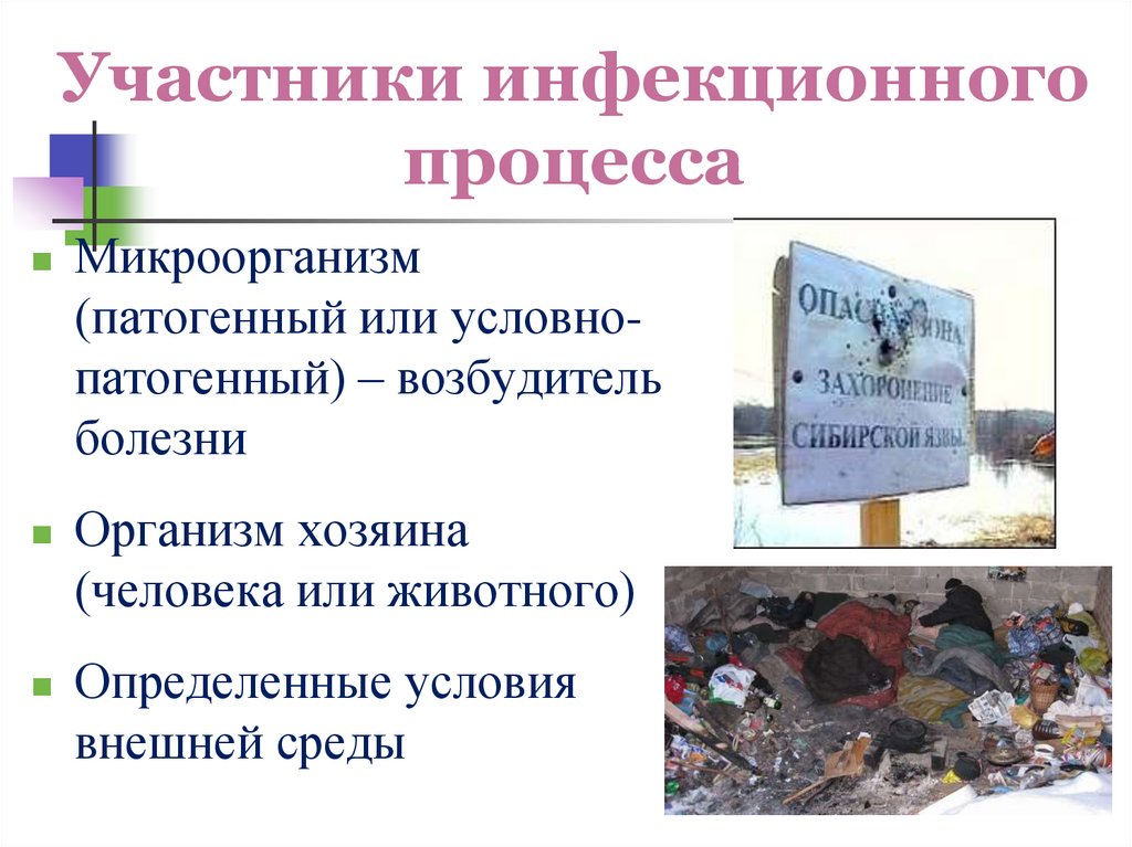 Участники инфекционного процесса