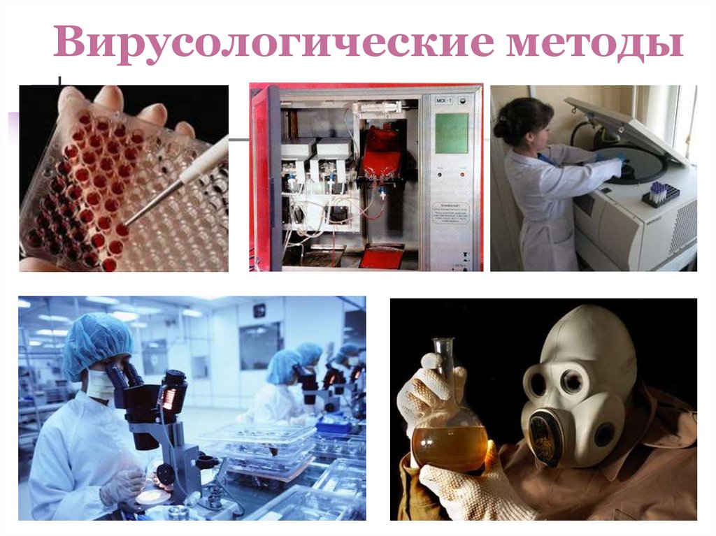 Вирусологические методы