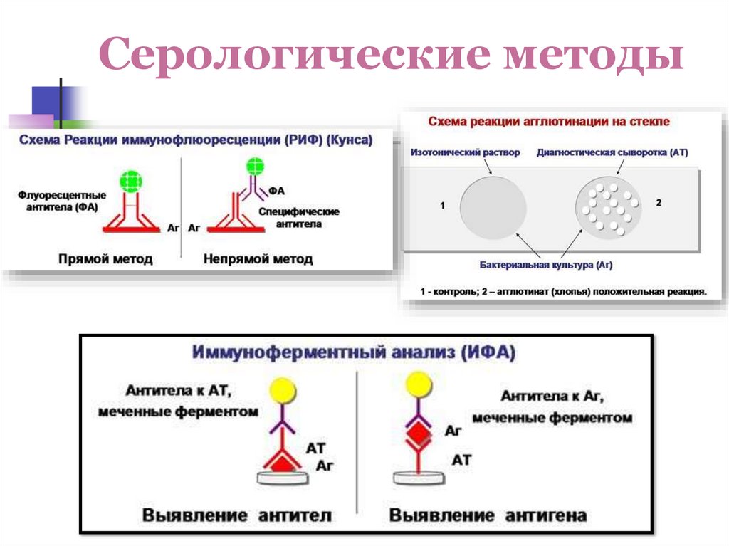 Серологические методы