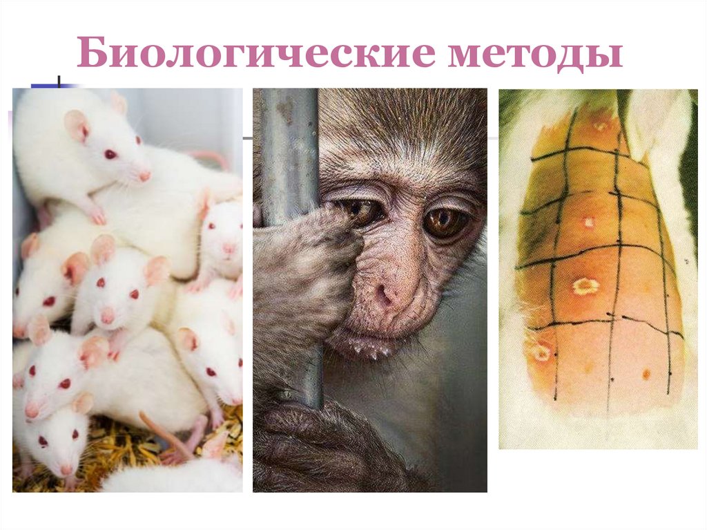 Биологические методы