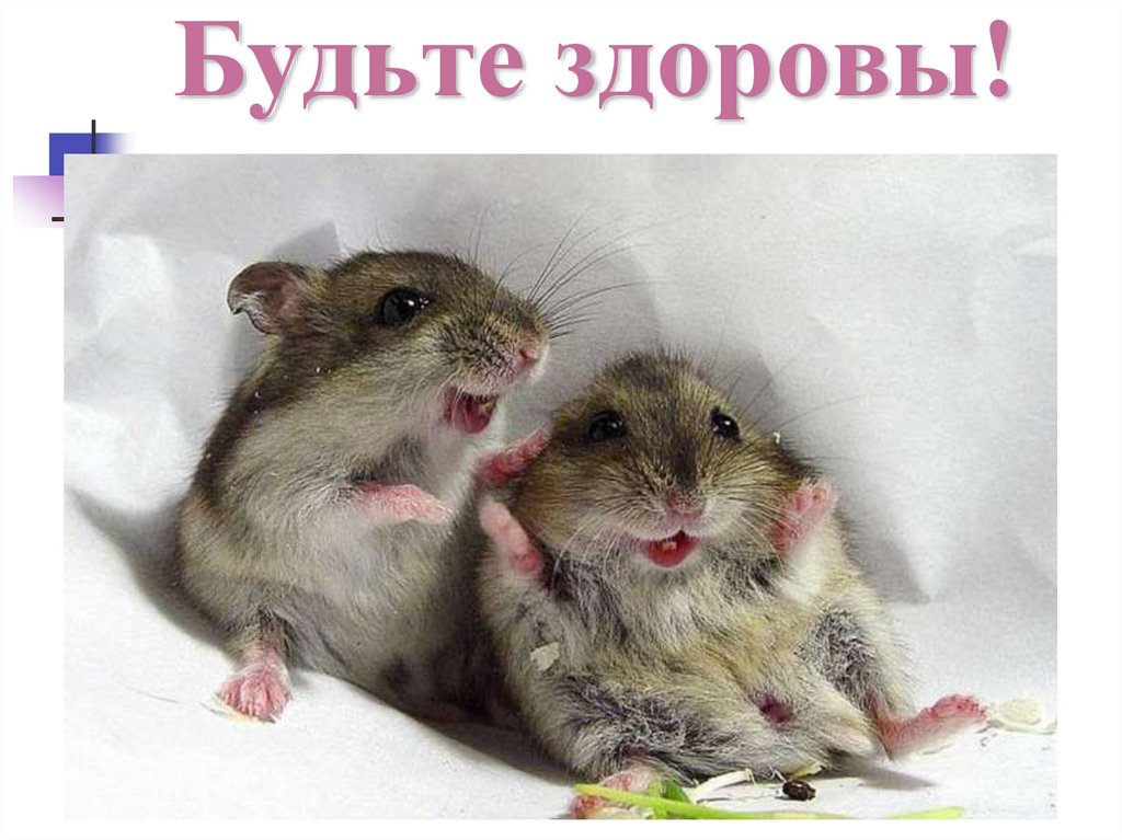 Будьте здоровы!