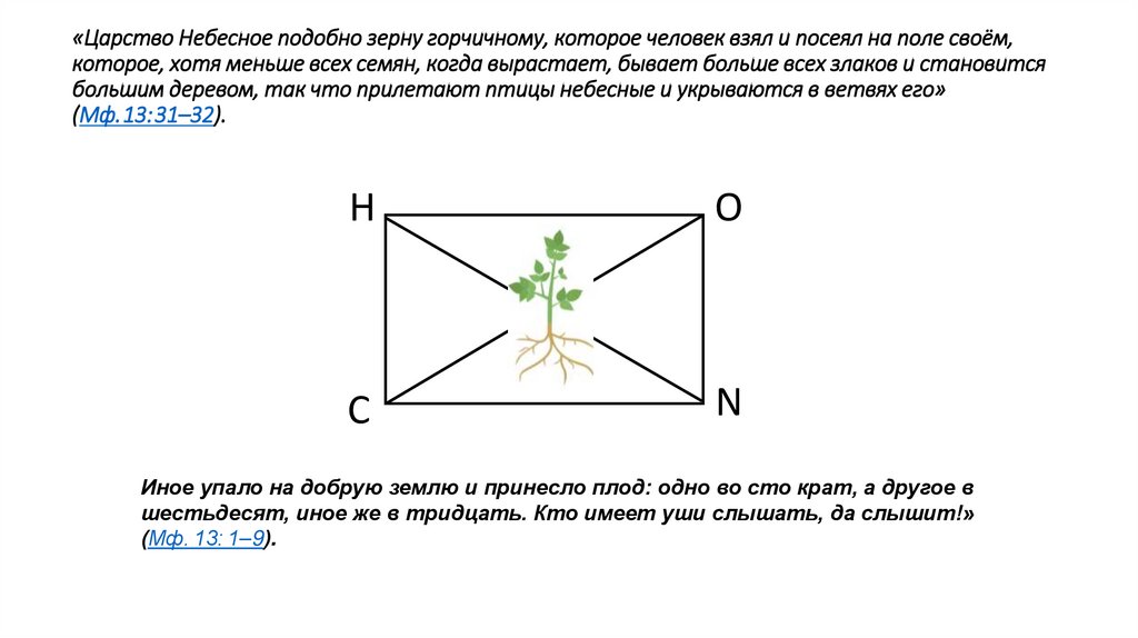 «Царство Небесное подобно зерну горчичному, которое человек взял и посеял на поле своём, которое, хотя меньше всех семян, когда