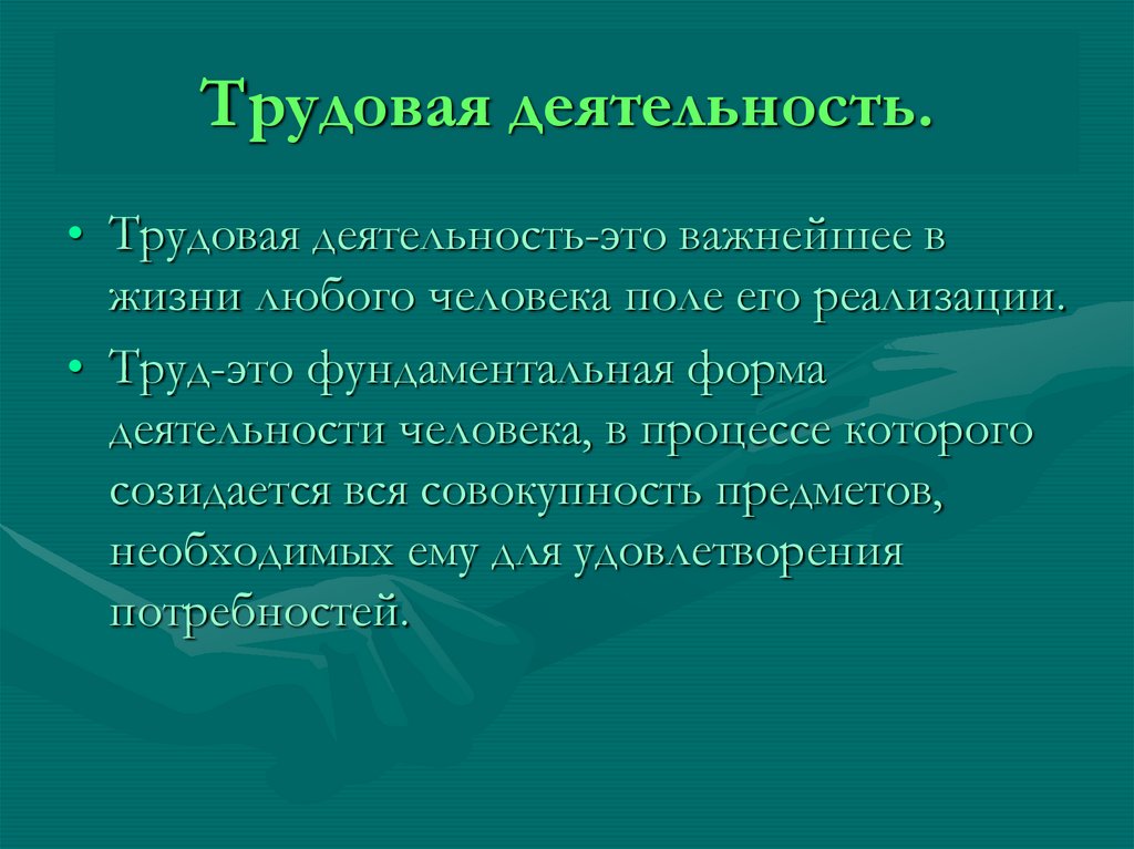 Трудовая деятельность.