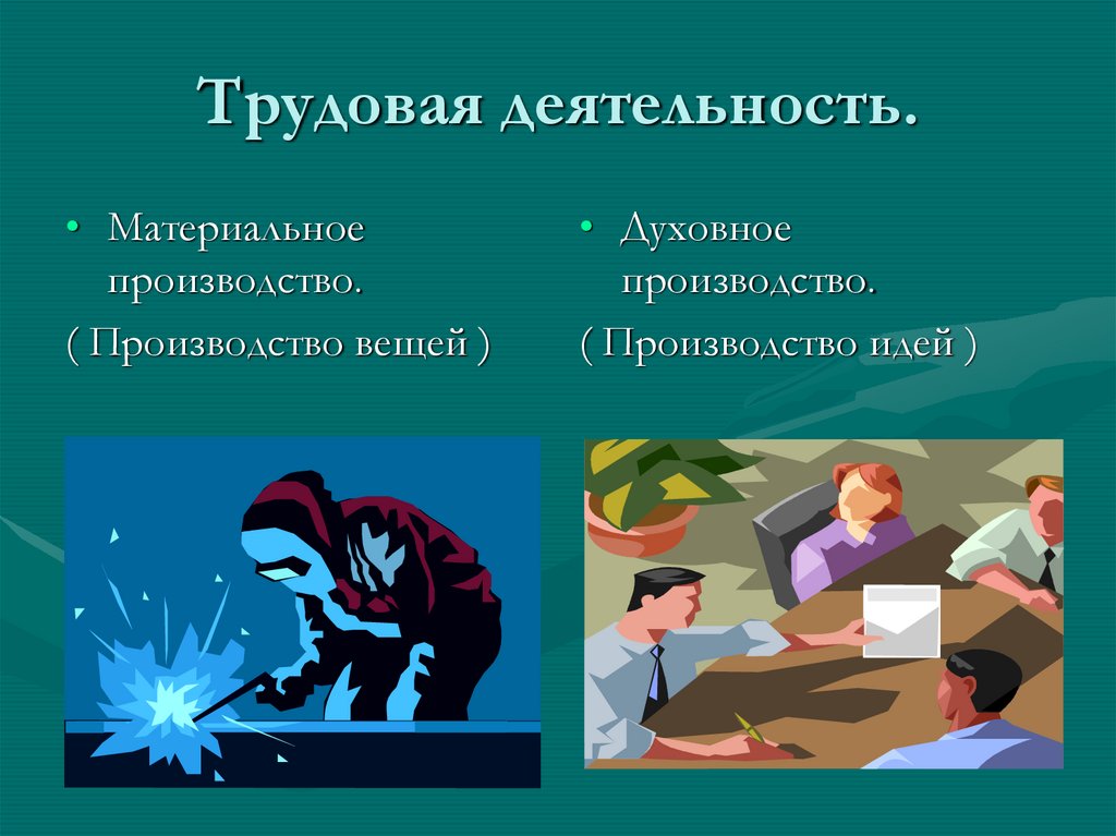 Трудовая деятельность.