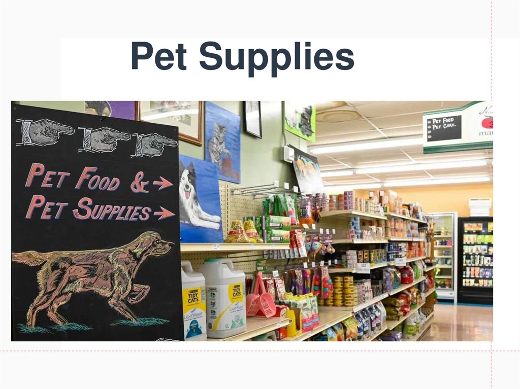 Pet Supplies
