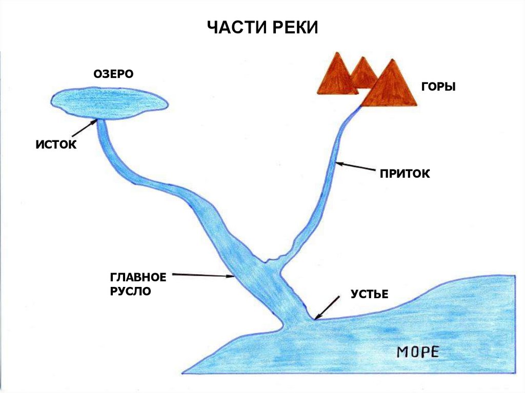 ЧАСТИ РЕКИ