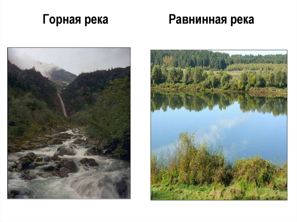 Горная река Равнинная река