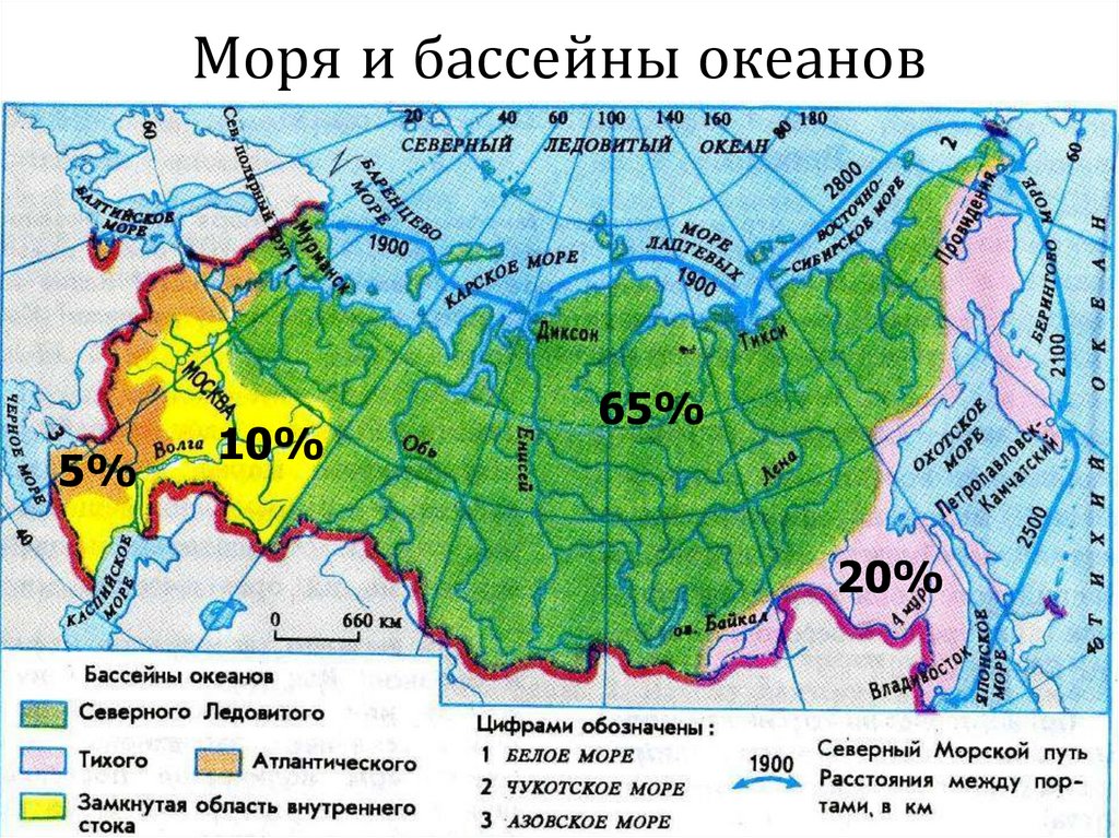 Моря и бассейны океанов