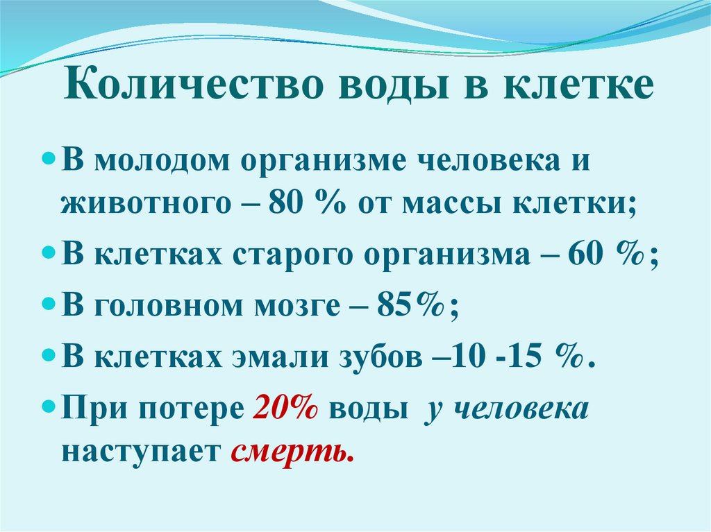 Количество воды в клетке