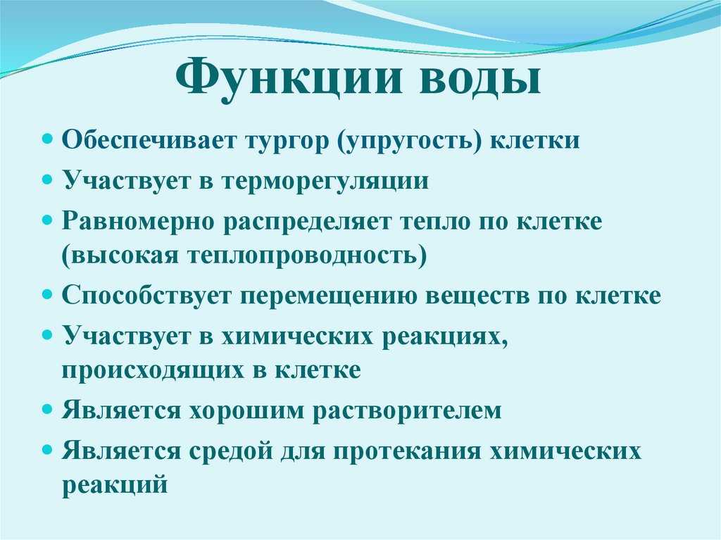 Функции воды