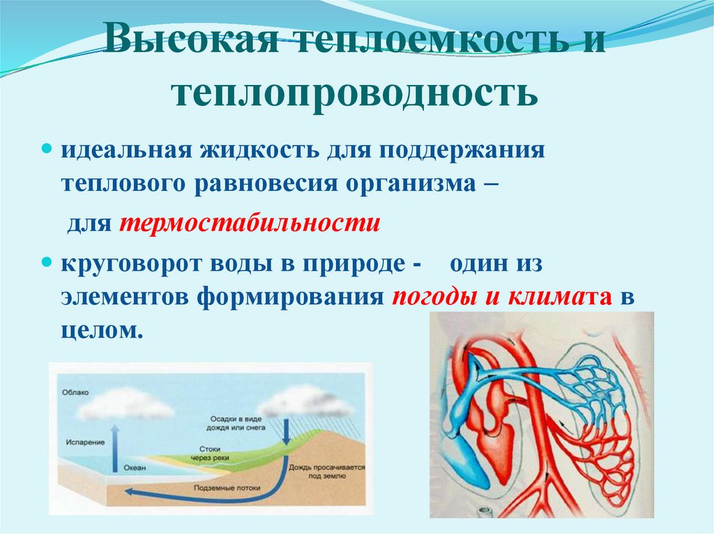 Высокая теплоемкость и теплопроводность