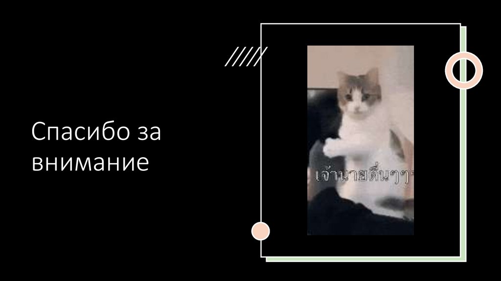 Спасибо за внимание