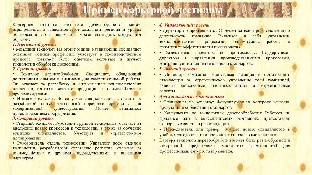 Пример карьерной лестницы