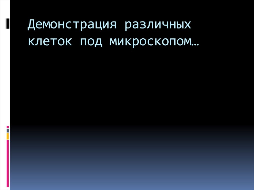 Демонстрация различных клеток под микроскопом…