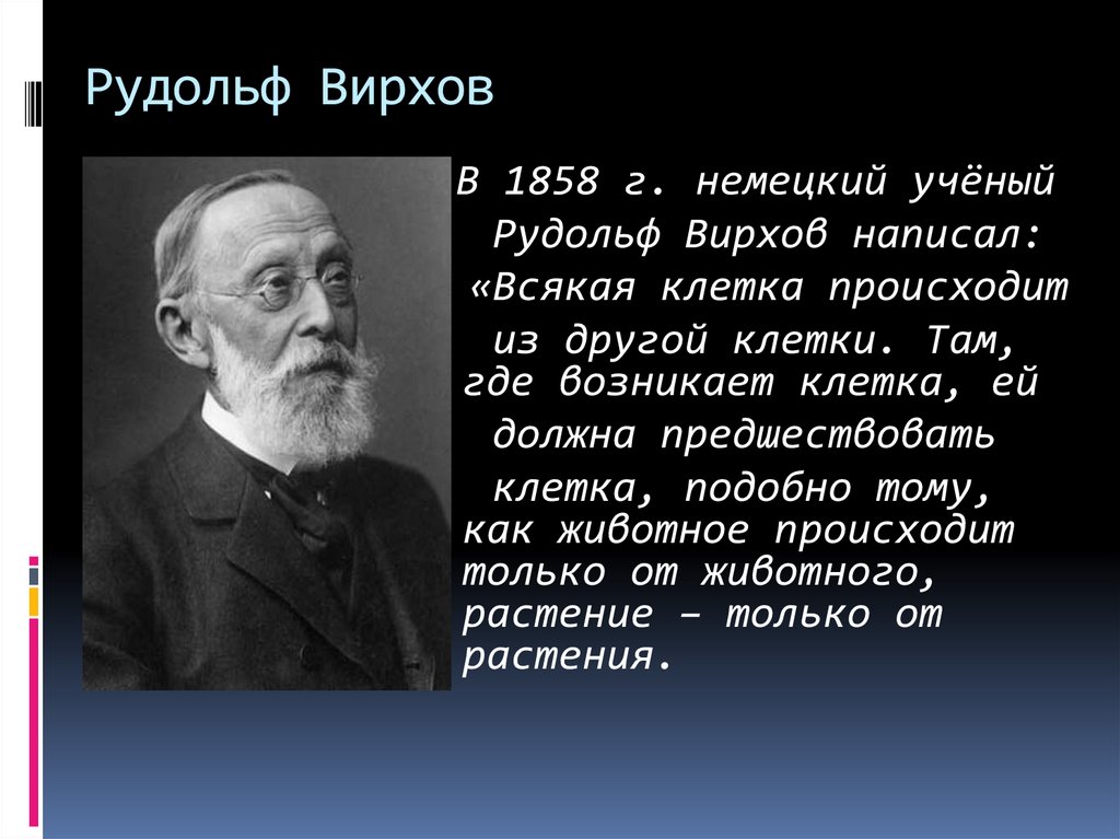 Рудольф Вирхов