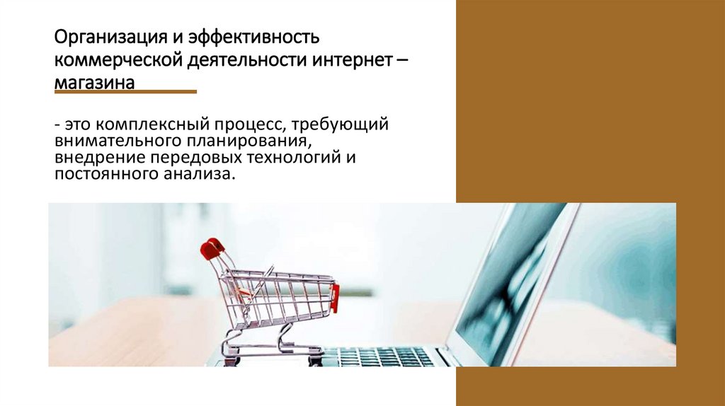 Организация и эффективность коммерческой деятельности интернет – магазина
