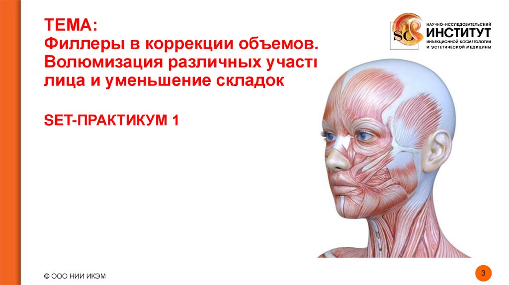 ТЕМА: Филлеры в коррекции объемов. Волюмизация различных участков лица и уменьшение складок
