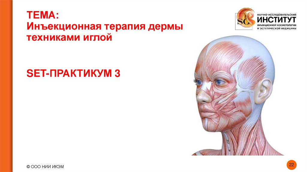 ТЕМА: Инъекционная терапия дермы техниками иглой