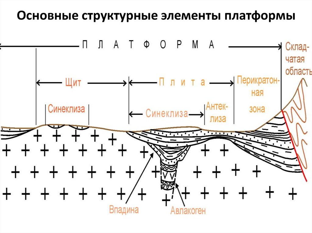 Основные структурные элементы платформы