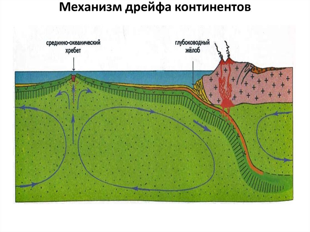 Механизм дрейфа континентов