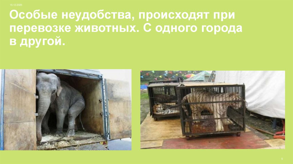 Особые неудобства, происходят при перевозке животных. С одного города в другой.