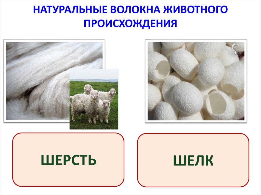 НАТУРАЛЬНЫЕ ВОЛОКНА ЖИВОТНОГО ПРОИСХОЖДЕНИЯ