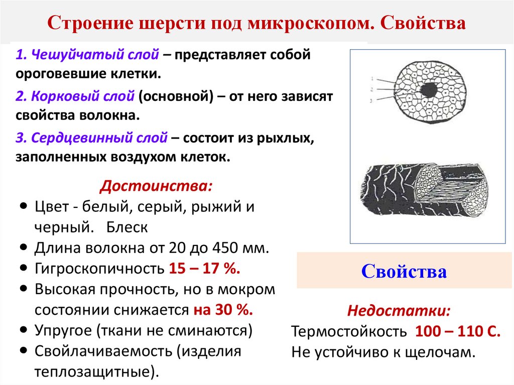 Строение шерсти под микроскопом. Свойства